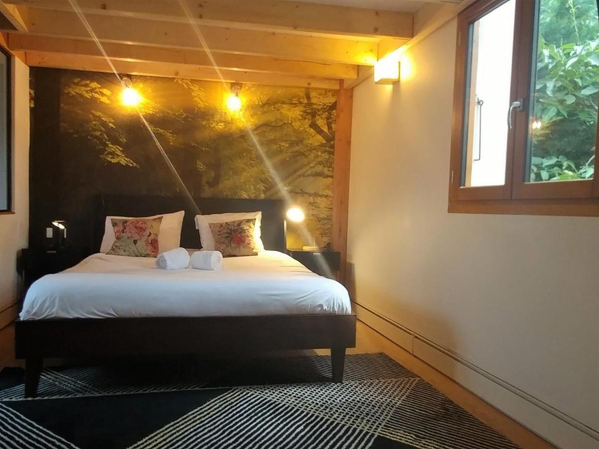Maison Jardin Et Parking Prive Dans Grenoble Ngoại thất bức ảnh